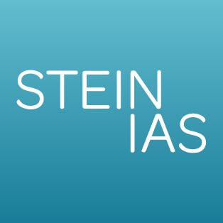 Stein IAS logo